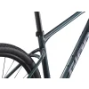 Rower Giant Roam 2 L Asphalt Green