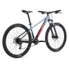Rower Giant Talon 29 3 XL Frost Silver