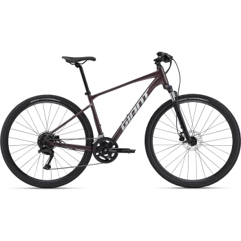 Rower Giant Roam 2 Disc M Charcoal Plum