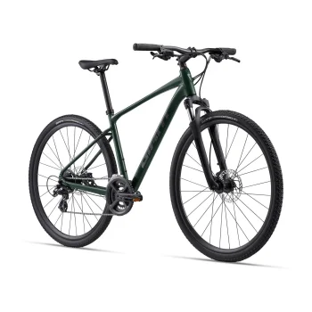 Rower Giant Roam 3 Disc XL Hunter Green