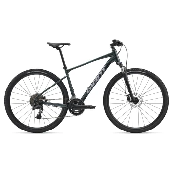 Rower Giant Roam 2 L Asphalt Green