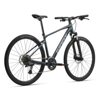 Rower Giant Roam 2 L Asphalt Green