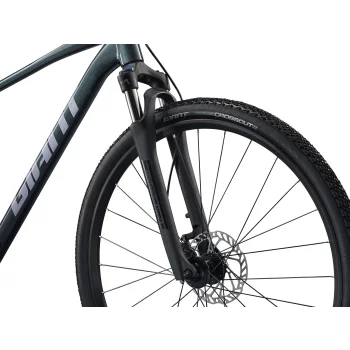 Rower Giant Roam 2 L Asphalt Green