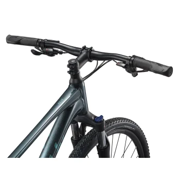 Rower Liv Rove 4 XS Asphalt Green