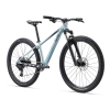 Rower Liv Tempt 29 2 M Cryo Silver