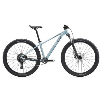 Rower Liv Tempt 29 2 M Cryo Silver