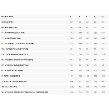 Rower Merida Big.Nine 300 Lite (19
