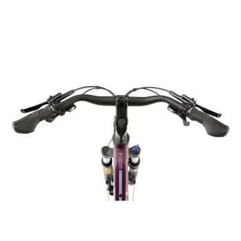 Rower Romet Gazela 6 CS 17