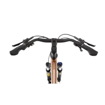 Rower Romet Wagant 6 CS 23