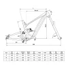Rower Kellys Theos R30 P 29