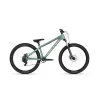 Rower Kellys Whip 10 DX 26" M Frosted Green