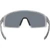 Okulary Bolle Striver Grey Crystal Black - TNS Ice
