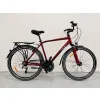 Rower Storm Marathon 4.0 Man 21" bordo