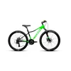 Rower Storm Racer 26 13" 1.0 2D zielono-czarny