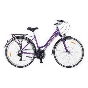 Rower Storm Marathon 1.0 Lady 19" śliwka