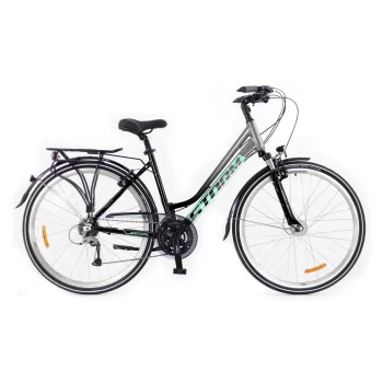 Rower Storm Marathon 6.0 Lady 17" sreb/czar/morsk