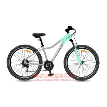 Rower Tabou 26 Venom 1 W 13" mint/grey