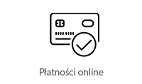 Płatności online